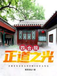 四合院：正道之光 作者：青冥剑仙