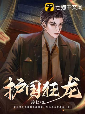 护国狂龙冷七