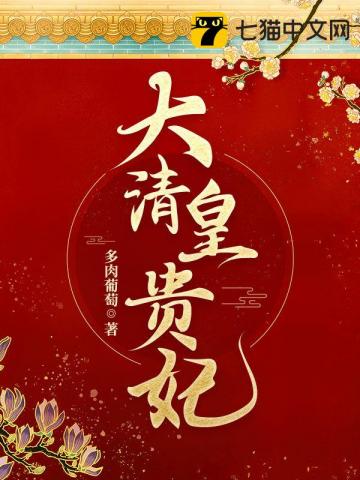 大清皇贵妃索绰罗若音爱新觉罗胤禛