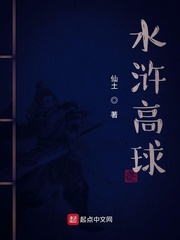 宋末枭臣小说阅读