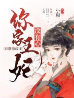 启禀摄政王，你家王妃没有心小说阅读