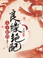 太子妃的良缘绝配(顾南汐陈镜池) - 太子妃的良缘绝配全文在线阅读 - 太子妃的良缘绝配最新章节 - 润准网