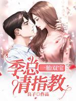 一胎双宝:季总请指教