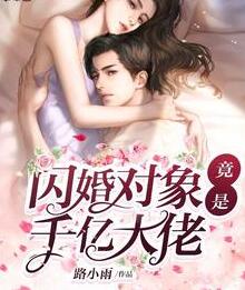 唐婉宋既明小说