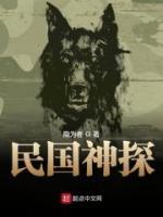 民国神探小说阅读