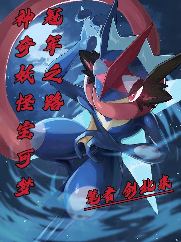 神奇妖怪宝可梦：冠军之路