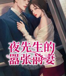 夜先生的嚣张前妻