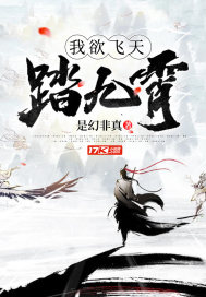 我欲飞天踏九霄小说阅读