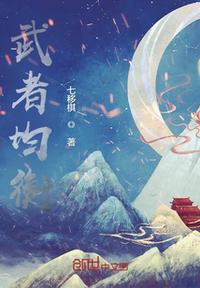 武者均衡小说阅读