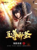 至尊邪圣小说阅读