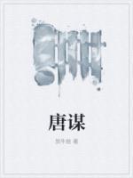 唐谋小说阅读