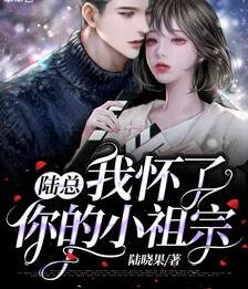 陆总，我怀了你的小祖宗