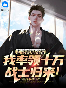 风云天王小说阅读