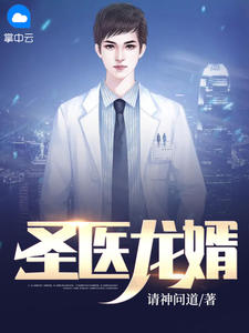 圣医龙婿 作者：佚名