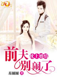 枕上婚情之前夫别闹了