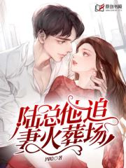 陆总他追妻火葬场小说阅读