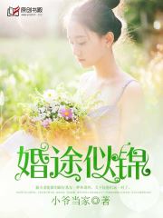 薄少的前妻小说阅读