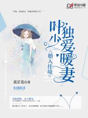 婚入佳境，叶少独爱暖妻