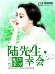 旧爱难为：陆先生，幸会