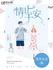 情止于安小说阅读