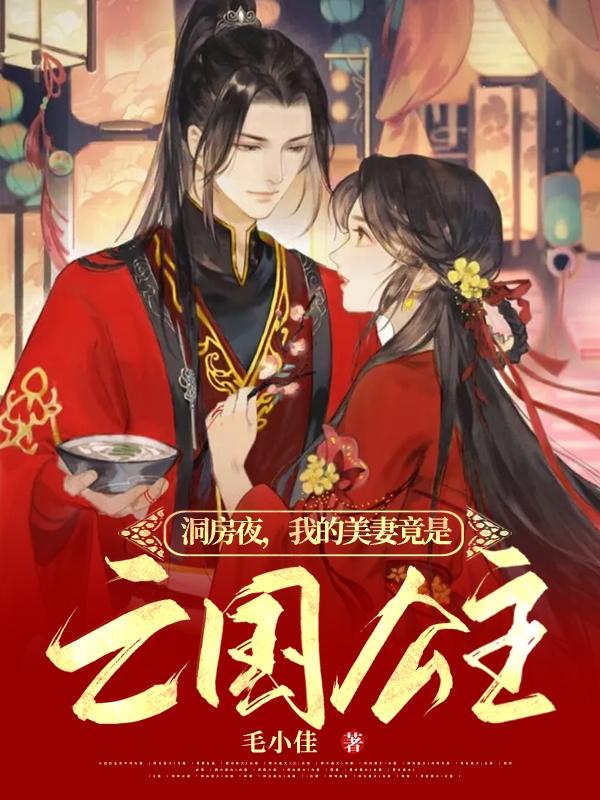 洞房夜，我的美妻竟是亡国公主小说阅读
