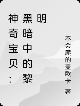 神奇宝贝：黑暗中的黎明小说阅读