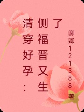 清穿好孕：侧福晋又生了