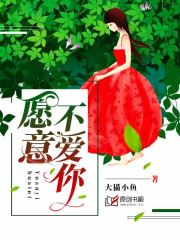 愿意不爱你