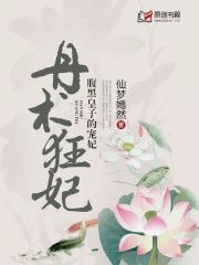 丹术狂妃：腹黑皇子的宠妃小说阅读