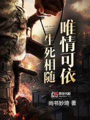 生死相随，唯情可依小说阅读
