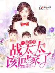 一胎双宝：战太太，该回家了小说阅读