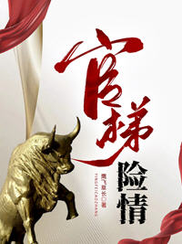 官梯险情小说阅读