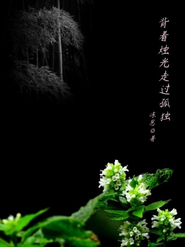 背着烛光走过孤独