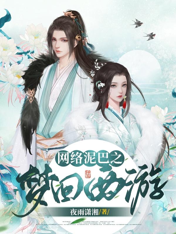 网络泥巴之梦回西游