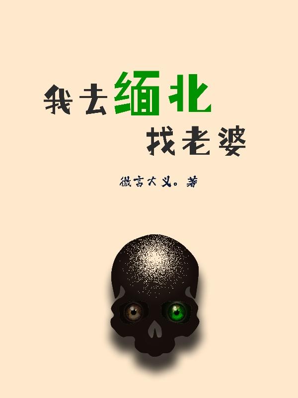 我去缅北找老婆