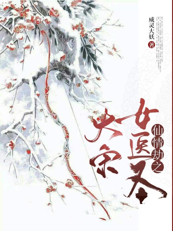 仙情劫之大宋女医圣