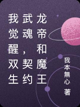 我觉醒双生武魂，契约龙帝和魔王小说阅读