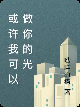 或许我可以做你的光