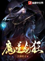 魔道剑狂小说阅读