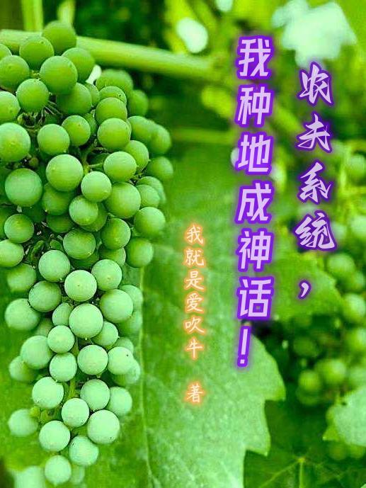 农夫系统,我种地成神话!