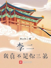 家兄李世民小说阅读