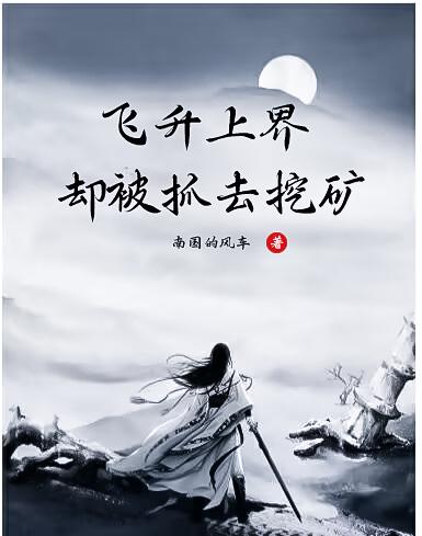 飞升上界，却被抓去挖矿