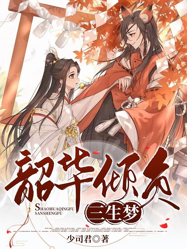 韶华倾负，三生梦