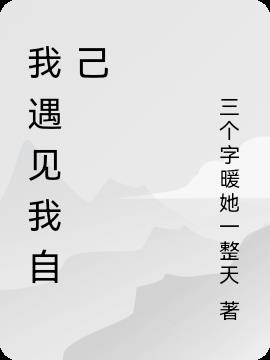 我遇见我自己小说阅读