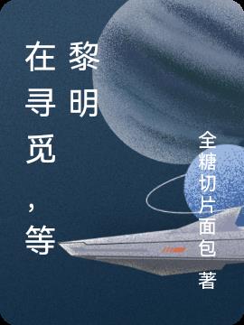 在寻觅，等黎明