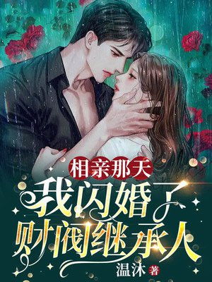 相亲那天,我闪婚了财阀继承人