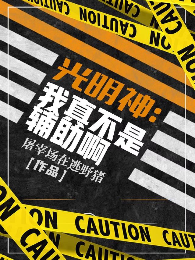 光明神：我真不是辅助啊